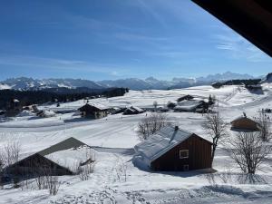 Chalet sur piste au Praz de Lys - 8 pers, 4 ch, proche Mont-Blanc - FR-1-815-2