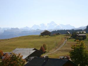 Chalets Chalet confortable au Praz de Lys - 4 chambres - FR-1-815-2 : Chalet