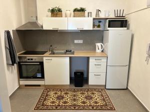 Byt 1KK v centru Jihlavy