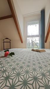 Appartements Les Embruns : photos des chambres