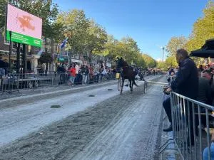 梅登布利克住宿加早餐旅馆 - 韦尔弗斯霍夫