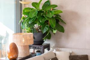 Luxury 2-Br Apartment with Sea View Cannes