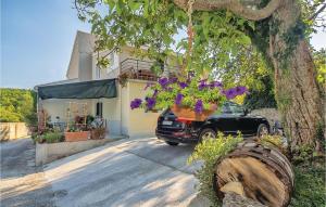 One-Bedroom Apartment In Ostrvica