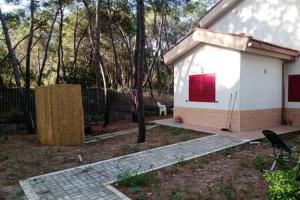 Villa immersa in pineta 100m dalla spiaggia