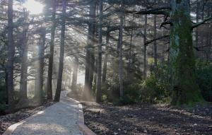 Maisons de vacances Gite Hanna en Luberon - Le Boisset de St Martin de Castillon : photos des chambres