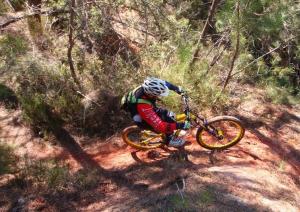 Maisons de vacances Gite Hanna en Luberon - Le Boisset de St Martin de Castillon : photos des chambres