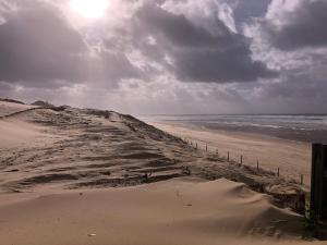 LE IN - T2 au RDC avec terrasse à 200m de la plage - Well located apartment for surfers