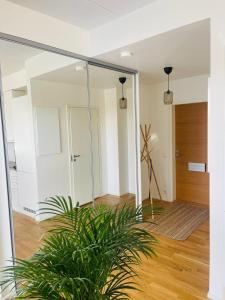 valoisa ja viihtyisä asunto