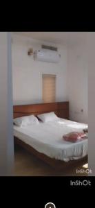 Daily Rent Homes with all facilities
