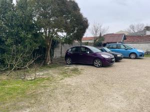 Appartements Joli appartement renove avec jardin clos : photos des chambres