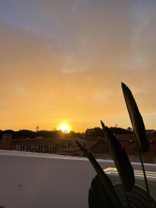 Salty Club beach Apartment with private rooftop terrace