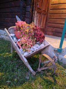 Rural haushold Konak Vukovica kolibe