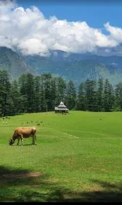 Holiday Home shangharh - Sainj