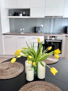 C-Home4U - Apartment with a city view close to AquaPark, up to 4 people, parking in secured area - Sudoł