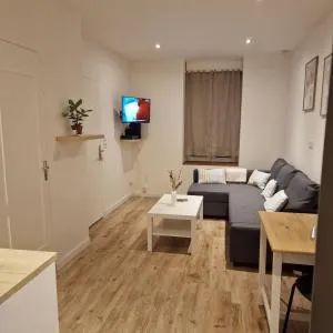 Bel appartement cosy - Fleury-les-Aubrais