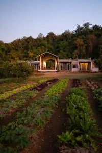 Daraga ดารกะ - Ban Huai Pa Hin