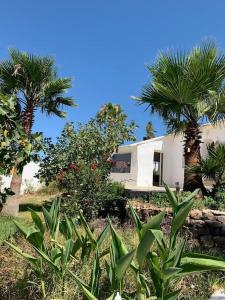 DAR SAKINA - Maison campagne Tanger - Piscine privée sans vis à vis