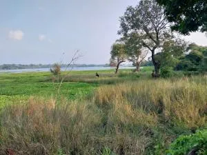 Lake Cabin - Giritale