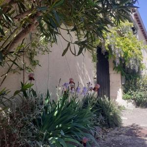 Maisons de vacances Les Gres Logis de Charme : photos des chambres