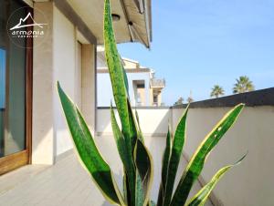 Appartamento fronte mare RC27