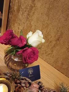 Hotels Belenos - Suites & Spa : photos des chambres