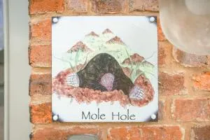 Mole Hole - 银石