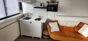 Zion studio