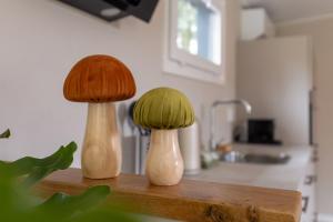 De Bospaddenstoel 4-19