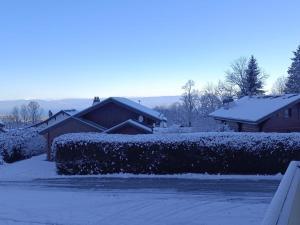 Appartement cosy proche pistes ski avec garage - FR-1-498-112