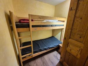 Studio lumineux, pied des pistes, animaux admis - FR-1-811-27