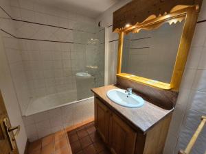 Studio lumineux, pied des pistes, animaux admis - FR-1-811-27