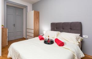 Gorgeous Apartment In Rijeka With Wifi