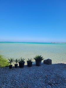 Extraordinary apartment, sea access in Hurghada