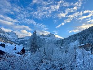 Serene 3BR Apartment with Premier Ski Access