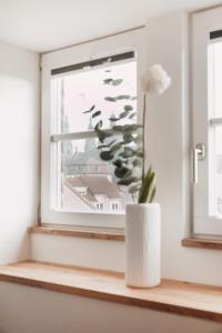 DOM Apartment IV - modern & zentral mit kostenfreiem Parkplatz