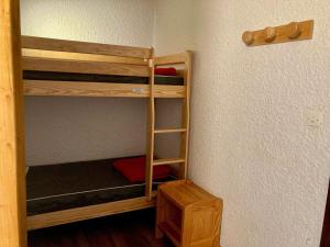 Studio lumineux au pied des pistes, animaux admis - FR-1-811-35
