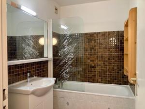 Studio lumineux au pied des pistes, animaux admis - FR-1-811-35