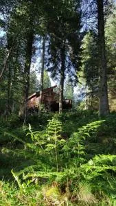 Glentress Forest Cabins - Forest Holidays - 皮布尔斯
