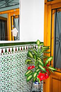 Casa Arcadia Centro de Andalucía