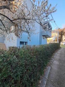 Mimoza Garden Apartments