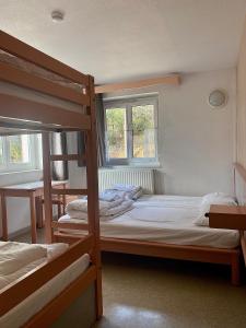 Hotels Auberge de jeunesse HI Valdeblore - Le Chalet : photos des chambres