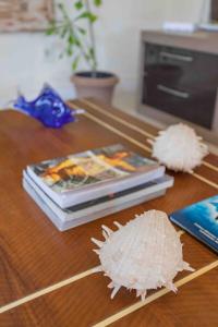 Búzios, o paraíso é aqui! Venha! - novo