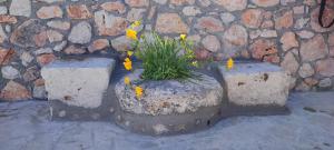 Casa de Calma - Grandpas House