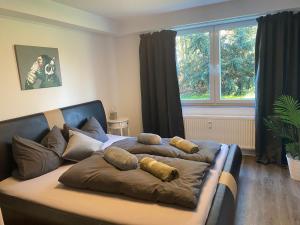 Pilgrims "Harry" 1 SZ wifi