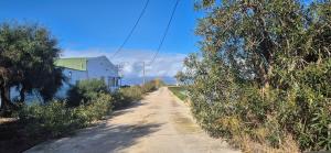 Casa Bassa de La Marquesa