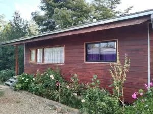 Cabaña selva Valdiviana - Puñaco