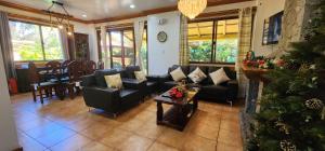 Forest Cabin Unit 23A