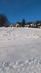 Agroturystyka u Doroty