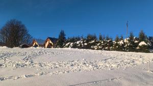 Agroturystyka u Doroty