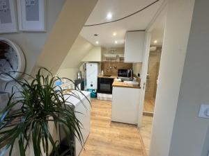 Appartement F1 meublé Duplex étage 1